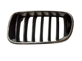 BMW X3 F25 Front bumper upper radiator grill 7210725