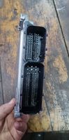 Hyundai H-1, Starex, Satellite Sterownik / Moduł ECU 0281016304