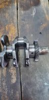 Hyundai Santa Fe Crankshaft 0A151048