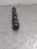 Volkswagen Sharan Camshaft WTR9