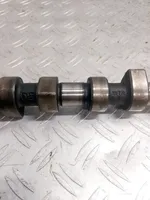 Volkswagen Sharan Camshaft WTR9