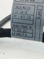 BMW 7 E65 E66 Faisceau de câblage de porte avant 6920291
