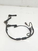 KIA Sedona Ignition plug leads 