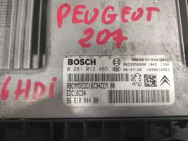 Peugeot 207 Centralina/modulo del motore 9653958980