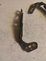 Audi A6 Allroad C6 Engine bonnet/hood hinges 4F0823301