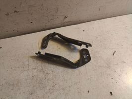 Audi A6 Allroad C6 Engine bonnet/hood hinges 4F0823301