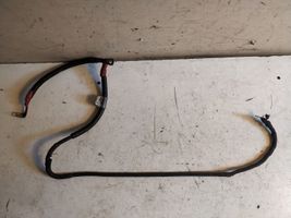 BMW 1 E81 E87 Cables (alternador) 7794910