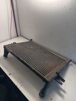 Jeep Grand Cherokee (WJ) Canale guida dell’aria dell’intercooler 