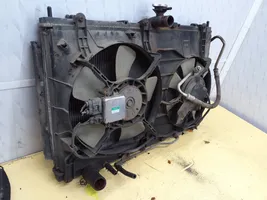 Mitsubishi Grandis Coolant radiator 4220006480