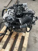 Volkswagen Golf VIII Moteur DTRB