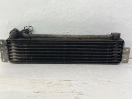 Renault Laguna I Intercooler radiator 849201N