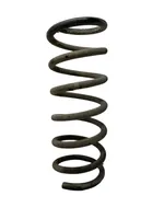 Ford Grand C-MAX Rear coil spring 