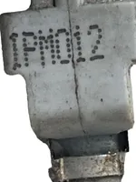 Citroen C4 I Fuel injector 