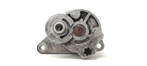 Volvo S60 Tendicinghia generatore/alternatore 31251250