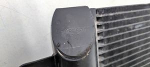 Ford Galaxy Skraplacz / Chłodnica klimatyzacji 710144963F