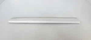 Mercedes-Benz E W211 Rivestimento portiera posteriore (modanatura) A2116901162