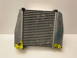 Nissan GT-R Starpdzesētāja radiators D-2124A-05