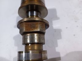 Ford F150 Albero a camme BR3E-6A272-EA