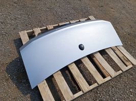 Ford Mustang V Tailgate/trunk/boot lid 