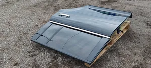 Ford Flex Rear door 