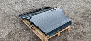 Ford Flex Rear door 