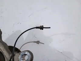 Ford Explorer Priekšējā riteņa rumbas vārpstas šarnīrs (stupica, capfa) 