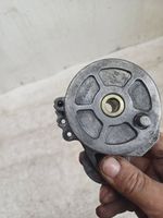 Citroen C5 Tendicinghia generatore/alternatore 