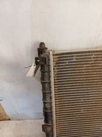 Land Rover Freelander Radiateur de refroidissement 