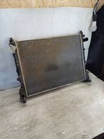 Land Rover Freelander Radiateur de refroidissement 