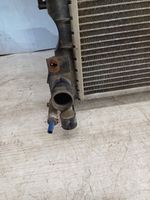 Land Rover Freelander Radiateur de refroidissement 