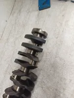 BMW 5 E39 Crankshaft 