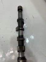 Renault Laguna I Camshaft 555 | 888.145XS345E19.384