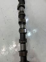 Renault Laguna I Camshaft 555 | 888.145XS345E19.384