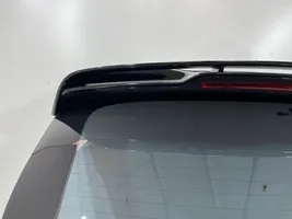 Porsche Cayenne (9PA) Takaluukun/tavaratilan kansi 7P5