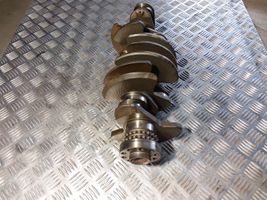 Volkswagen Phaeton Crankshaft 