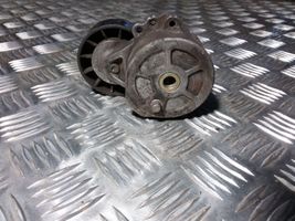 Citroen C5 Tendicinghia generatore/alternatore 