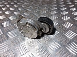 Volvo S80 Napinacz paska alternatora 31330379