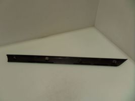 BMW 3 E46 Rivestimento del vano portaoggetti del cruscotto 8213995