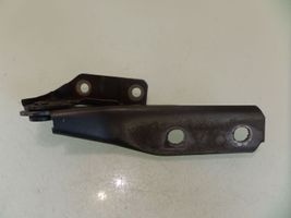 Audi A3 S3 8P Engine bonnet/hood hinges 