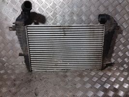 Volkswagen PASSAT B4 Chłodnica powietrza doładowującego / Intercooler 13223395