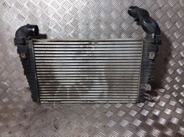 Volkswagen PASSAT B4 Chłodnica powietrza doładowującego / Intercooler 13223395