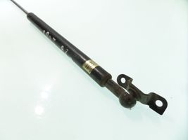 Mitsubishi Colt Tailgate/trunk strut/damper 