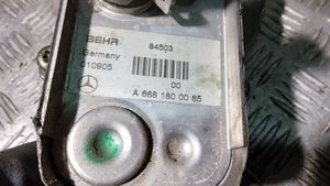 Mercedes-Benz Vaneo W414 Eļļas filtra turētājs / dzesētājs A6681800210