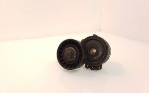 Citroen C5 Tendicinghia generatore/alternatore 