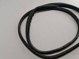 Renault Scenic II -  Grand scenic II Rear door rubber seal (on body) 