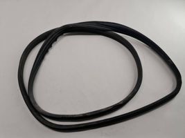 Renault Scenic II -  Grand scenic II Rear door rubber seal (on body) 