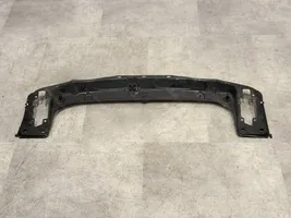 BMW 1 F20 F21 Rivestimento della modanatura della chiusura del vano motore/cofano 51647245786