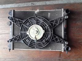 Microcar M8 Coolant radiator 1401878