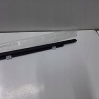 Hyundai Santa Fe Rivestimento modanatura del vetro della portiera posteriore 832202W000