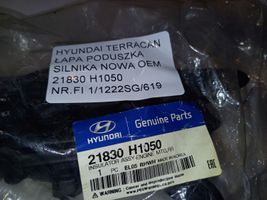 Hyundai Terracan Support de moteur, coussinet 21830H1050